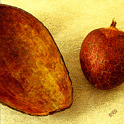 Ben and Raisa Gertsberg - Avocado Seed And Skin II