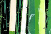 Ben and Raisa Gertsberg - Bamboo Abstraction