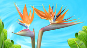 Ben and Raisa Gertsberg - Birds Of Paradise. Couple
