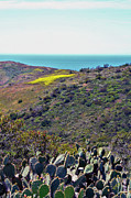 Ben and Raisa Gertsberg - Cactus To Ocean View