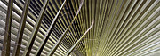 Ben and Raisa Gertsberg - Captivation - Palm Leaf