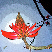 Ben and Raisa Gertsberg - Coral Tree