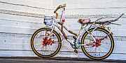 Ben and Raisa Gertsberg - Fairy Tale Bike Flying Machine