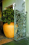 Ben and Raisa Gertsberg - Fancy Gate And Plain Pot
