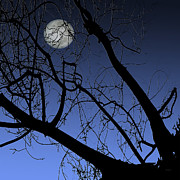 Ben and Raisa Gertsberg - Full Moon And Black Winter Tree