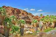 Ben and Raisa Gertsberg - Indian Canyons View In Palm Springs