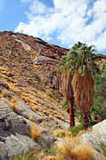 Ben and Raisa Gertsberg - Indian Canyons View With Two Palms