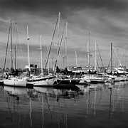 Ben and Raisa Gertsberg - Marina Boats In Victoria British Columbia Black And White