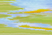 Ben and Raisa Gertsberg - Marsh Landscape