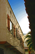 Ben and Raisa Gertsberg - Palm Springs Sky