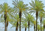 Ben and Raisa Gertsberg - Palms