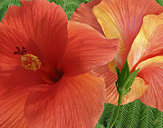 Ben and Raisa Gertsberg - Red Hibiscus