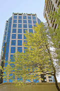 Ben and Raisa Gertsberg - Vancouver Silhouettes No 1