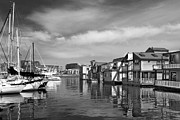 Ben and Raisa Gertsberg - Veiw Of Marina In Victoria British Columbia Black And White