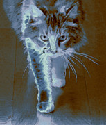 Ben and Raisa Gertsberg - Cat Walking