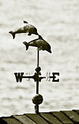Ben and Raisa Gertsberg - Dolphins Weathervane In Sepia