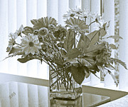 Ben and Raisa Gertsberg - Floral Arrangement With Blinds Reflection