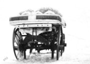 Ben and Raisa Gertsberg - Old Wagon Monochrome