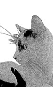 Ben and Raisa Gertsberg - The Cat