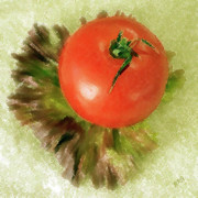 Ben and Raisa Gertsberg - Tomato And Lettuce