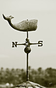 Ben and Raisa Gertsberg - Whale Weathervane In Sepia